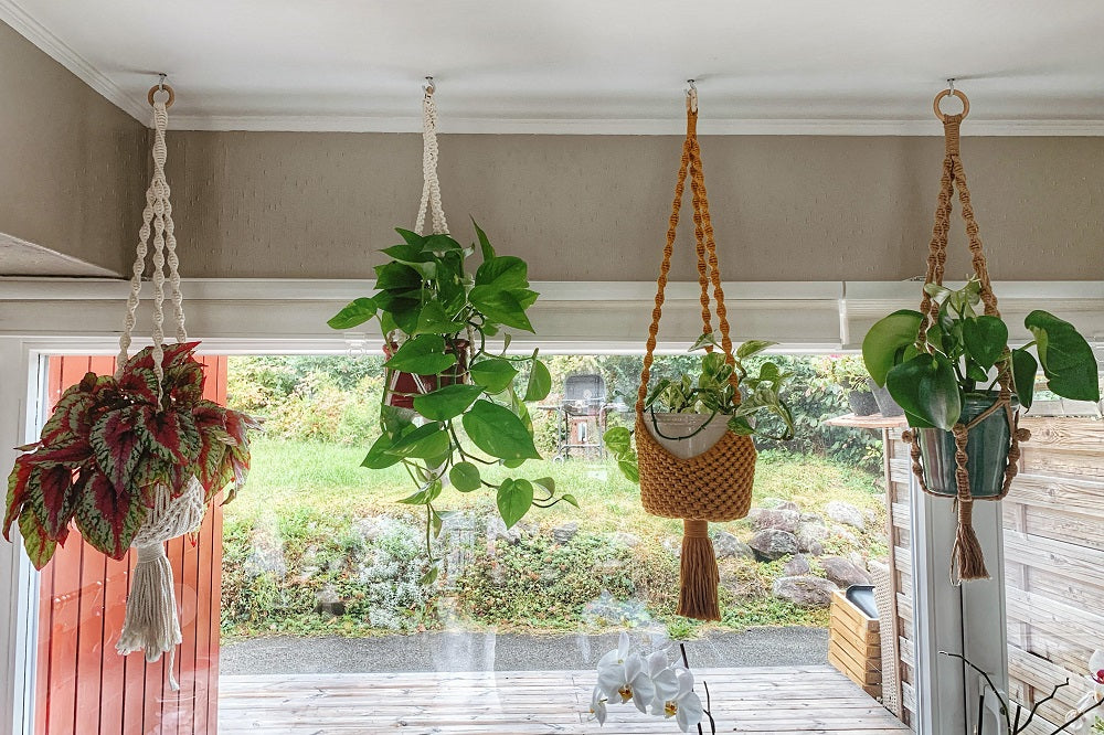 Plant Hangers
