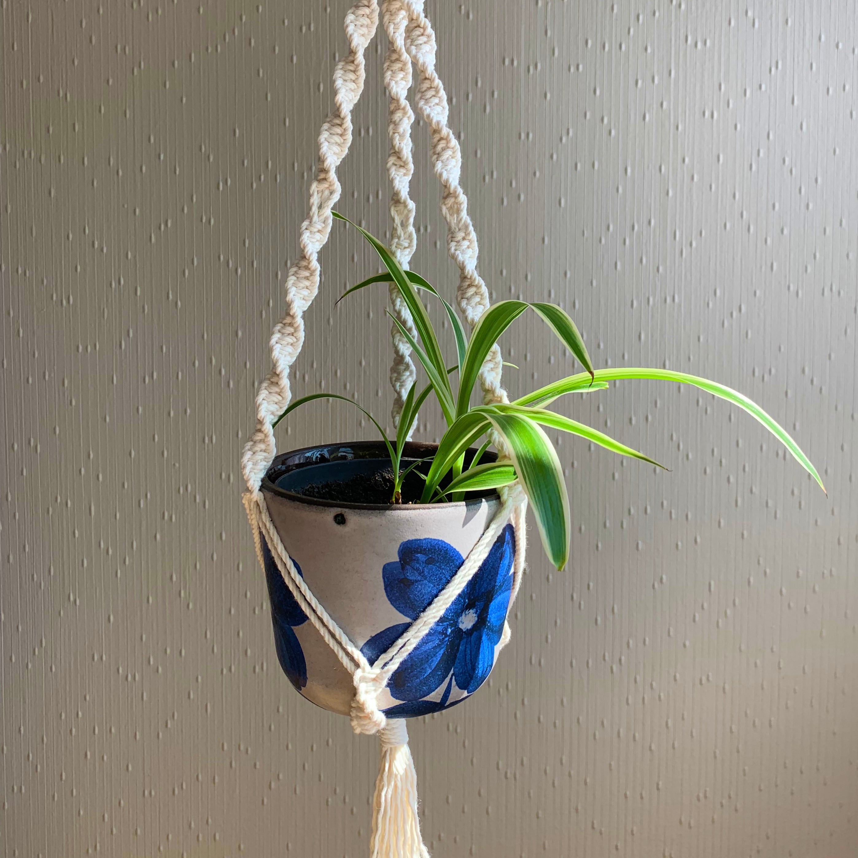 A white macrame plant hanger with a spider plant in white and blue floral planter hanging in front of a window.