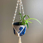 Load image into Gallery viewer, A white macrame plant hanger with a spider plant in white and blue floral planter hanging in front of a window.
