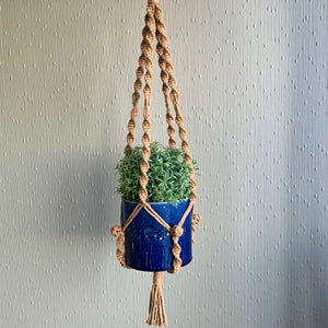 Brown macrame plant hanger with a succulent houseplant in a blue planter hanging from the ceiling