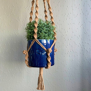 Close-up of a brown macrame plant hanger with a succulent houseplant in a blue planter