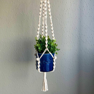 White macrame plant hanger with a succulent houseplant in a blue planter hanging from the ceiling