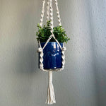 Load image into Gallery viewer, Close-up of a white macrame plant hanger with a succulent houseplant in a blue planter
