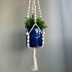 Close-up of a white macrame plant hanger with a succulent houseplant in a blue planter