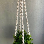 Load image into Gallery viewer, Close up of macrame knots on a white macrame plant hanger
