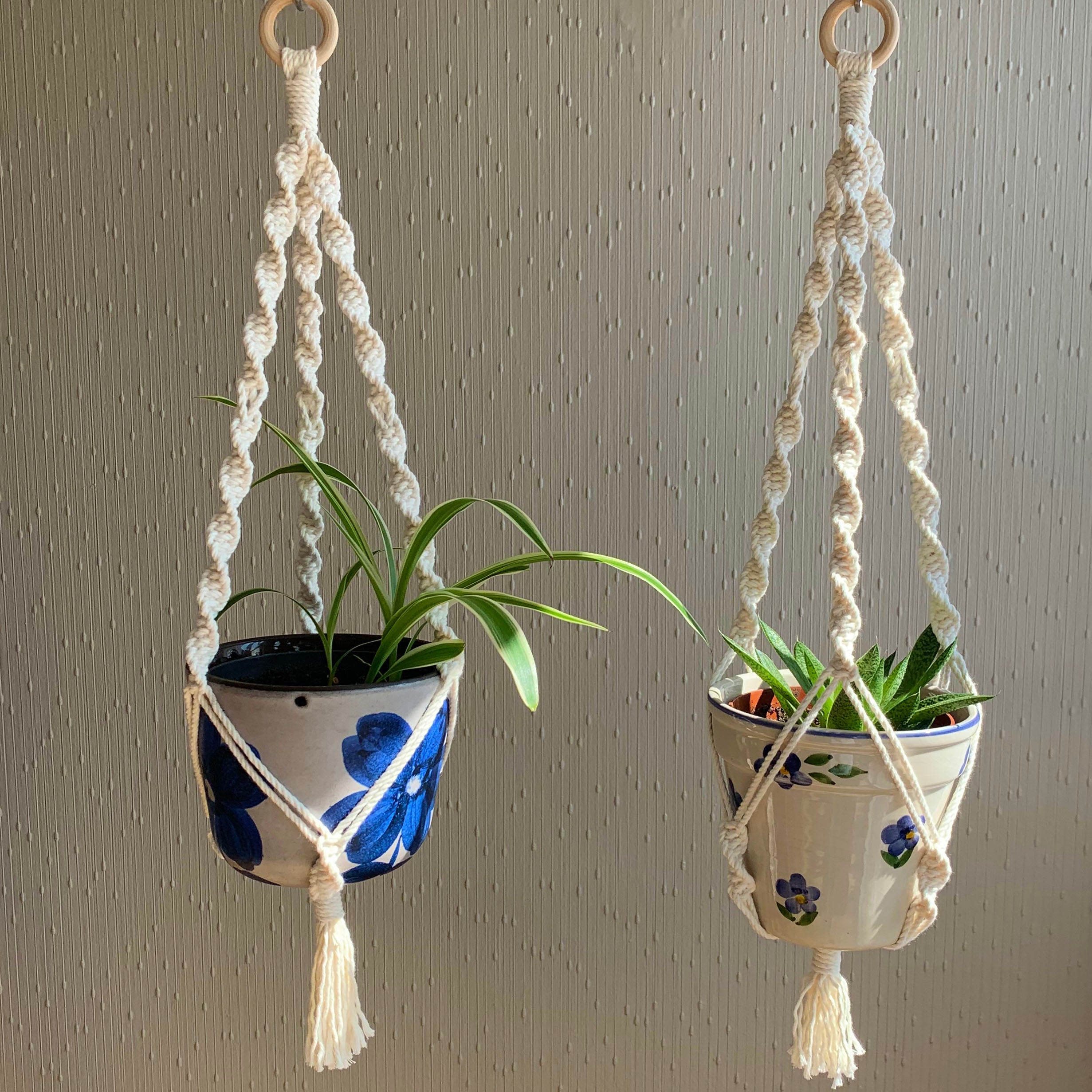 Two white macrame plant hangers with a spider plant and succulent in white and blue floral planters