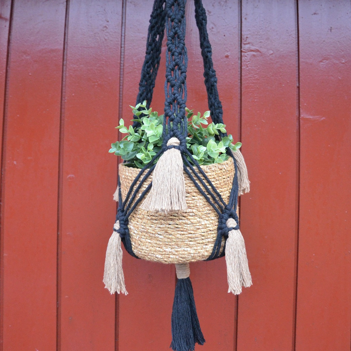A black macrame plant hanger with brown fringe detailing with a brown planter and plant in it