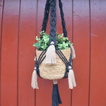 Load image into Gallery viewer, A black macrame plant hanger with brown fringe detailing with a brown planter and plant in it

