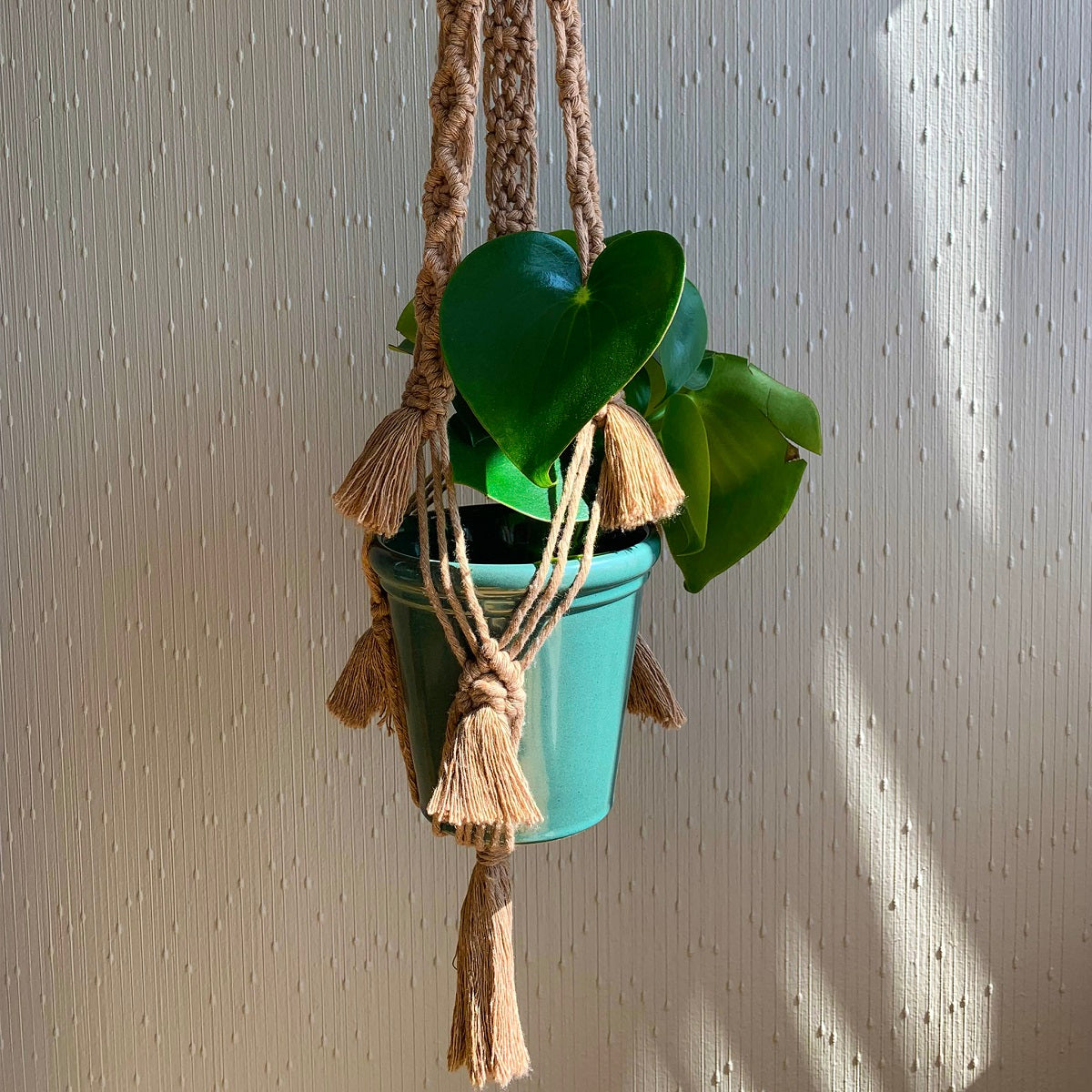 A beige macrame plant hanger with fringe detailing with a green planter and plant in it