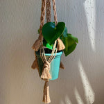 Load image into Gallery viewer, A beige macrame plant hanger with fringe detailing with a green planter and plant in it
