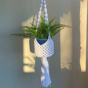 A white basket-style macrame plant hanger with a fern plant  in a blue planter.