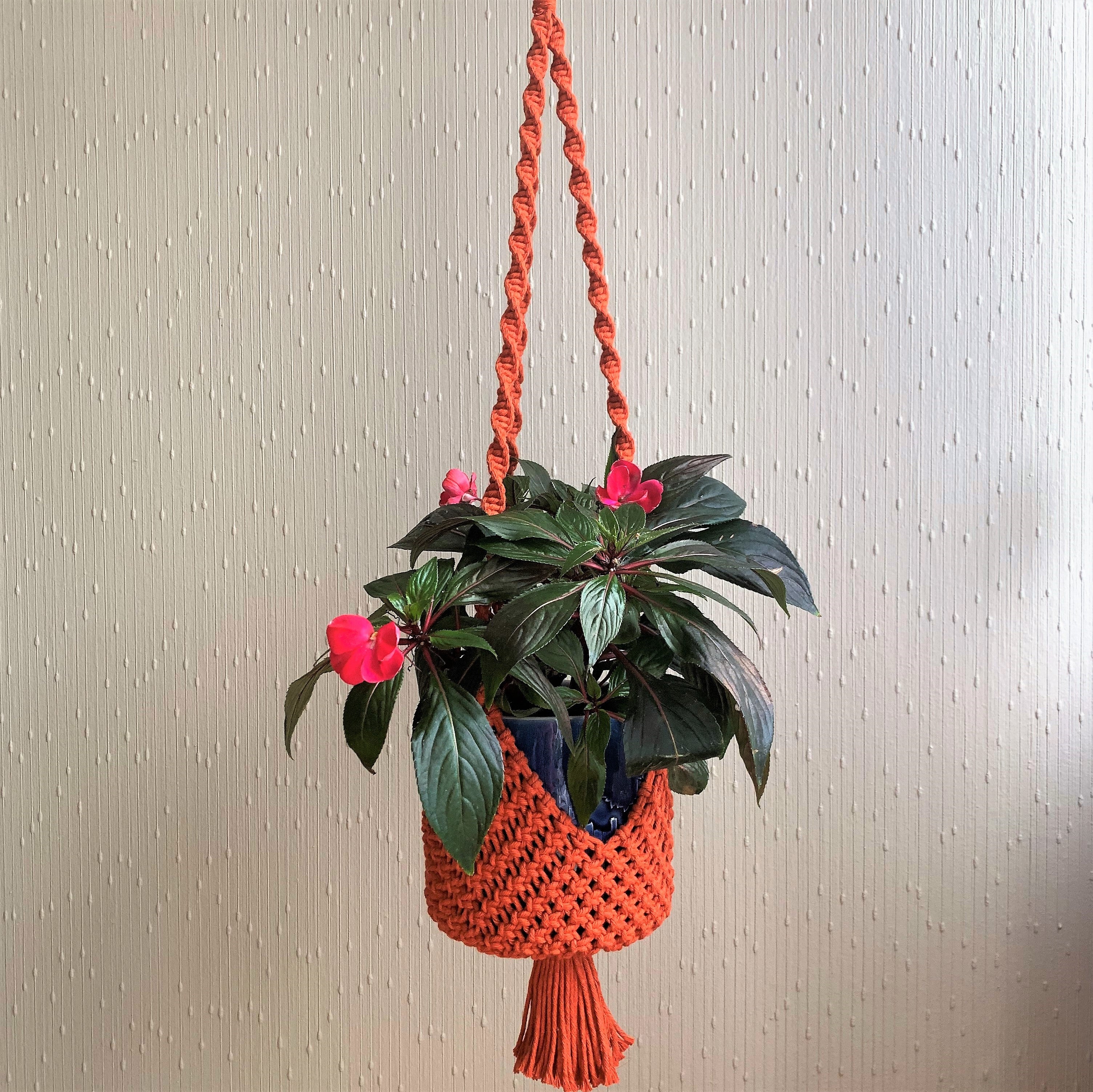 An orange basket-style macrame plant hanger with a houseplant in a blue planter hanging from the ceiling.