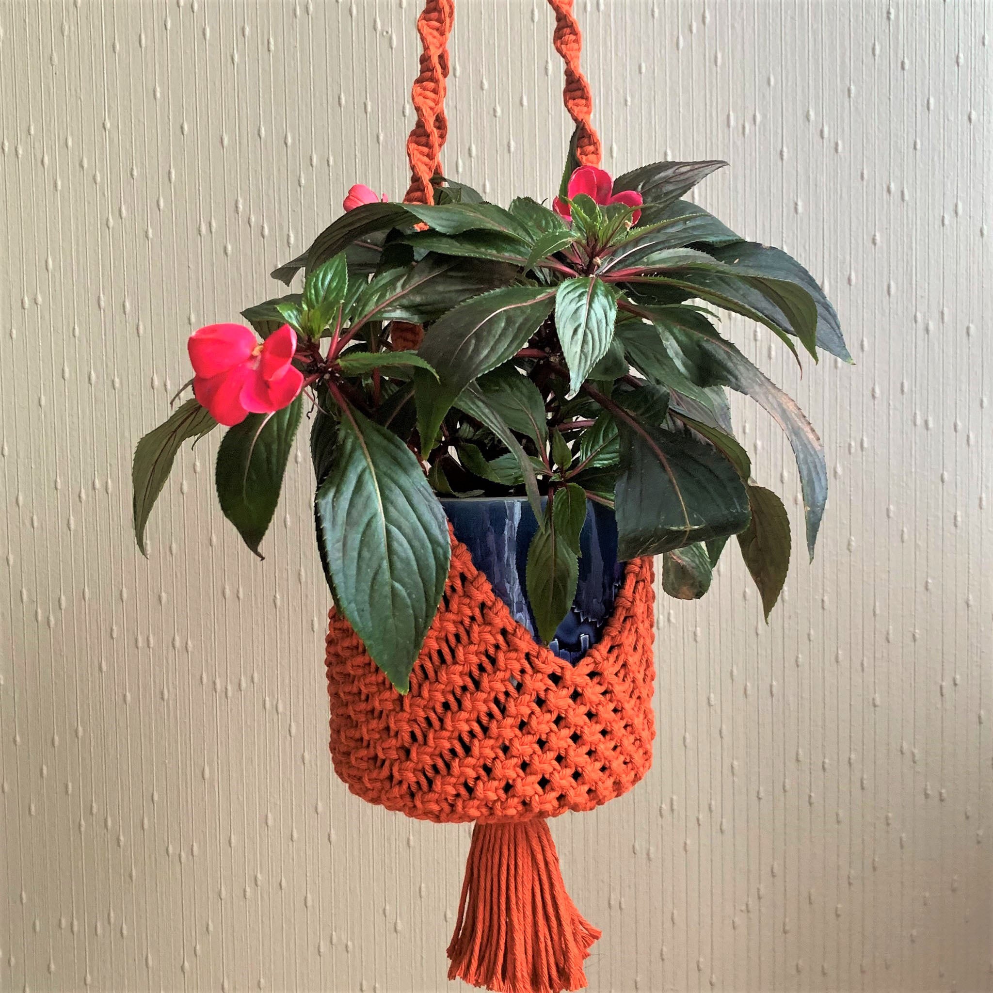 A close up of an orange basket-style macrame plant hanger with a houseplant in it.