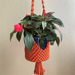 Load image into Gallery viewer, A close up of an orange basket-style macrame plant hanger with a houseplant in it.
