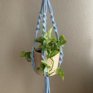 A light blue twisted macrame plant hanger with a green pothos plant in an off-white colour planter hanging from the ceiling