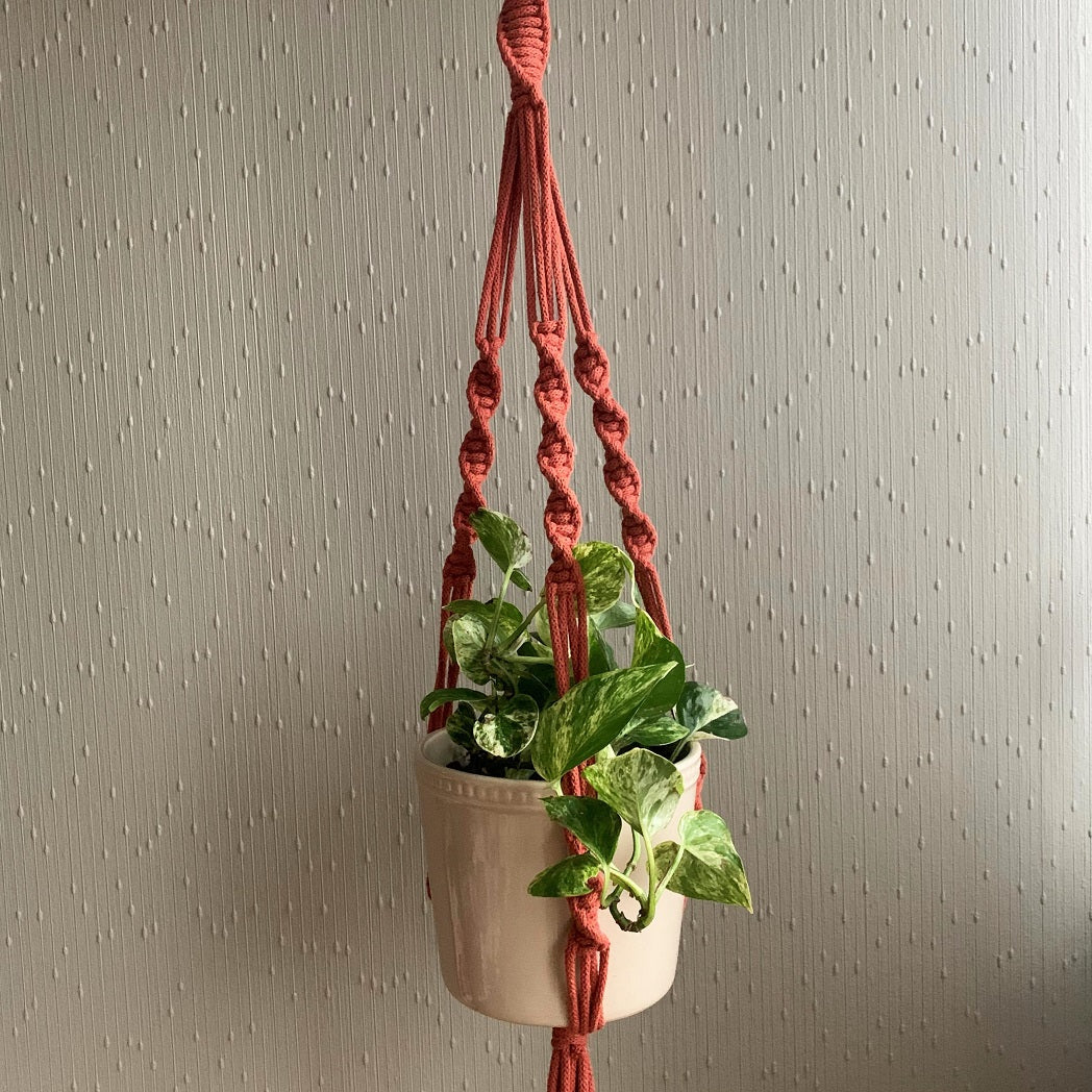 A brick coloured twisted macrame plant hanger with a green pothos plant in an off-white colour planter hanging from the ceiling