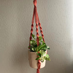 Load image into Gallery viewer, A brick coloured twisted macrame plant hanger with a green pothos plant in an off-white colour planter hanging from the ceiling

