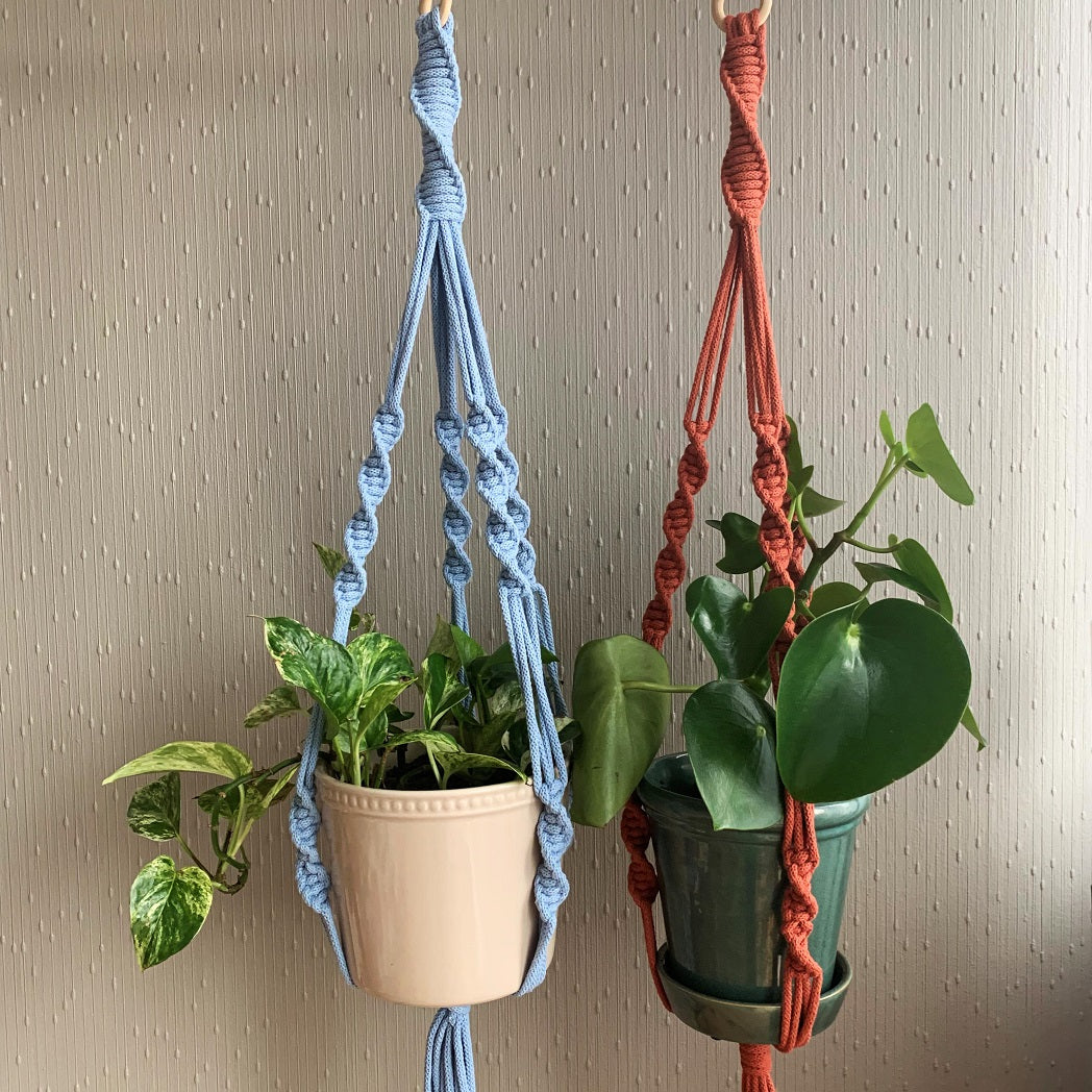 A light blue and a brick coloured twisted macrame plant hanger with a green pothos plant in a green planter and a chinese money plant in an off-white colour planter hanging from the ceiling