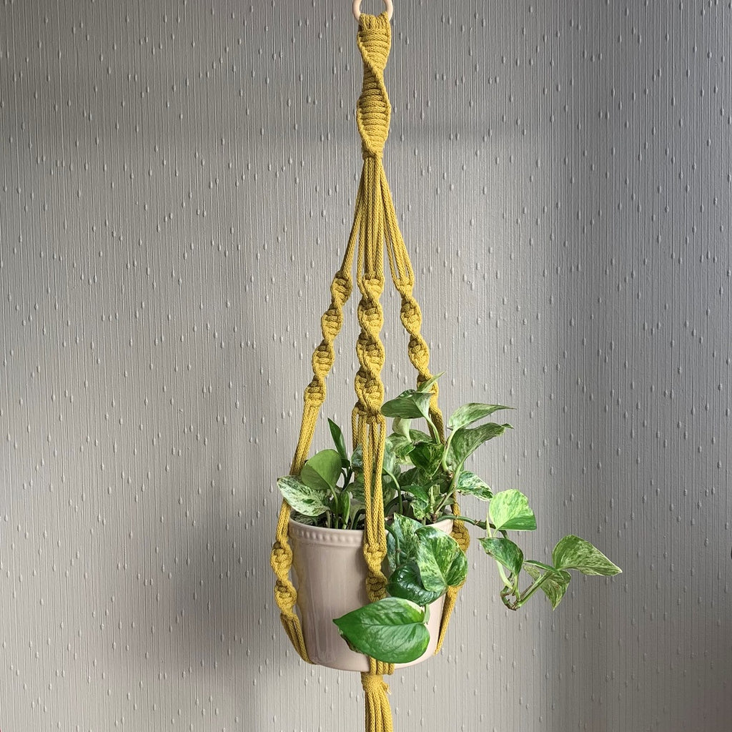 A lemon green twisted macrame plant hanger with a green pothos plant in an off-white colour planter hanging from the ceiling