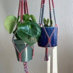 Load image into Gallery viewer, Blue and maroon two-coloured macrame plant hangers with indoor plants in green and blue planters hanging from the ceiling
