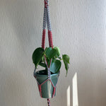 Load image into Gallery viewer, A blue and maroon two-coloured macrame plant hanger with an indoor plant in a green planter hanging from the ceiling
