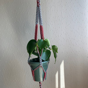 A blue and maroon two-coloured macrame plant hanger with an indoor plant in a green planter hanging from the ceiling