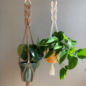 Two white and brown braided macrame plant hangers with a pothos hanging plant in a yellow planter and pilea plant in a green planter hanging from the ceiling.