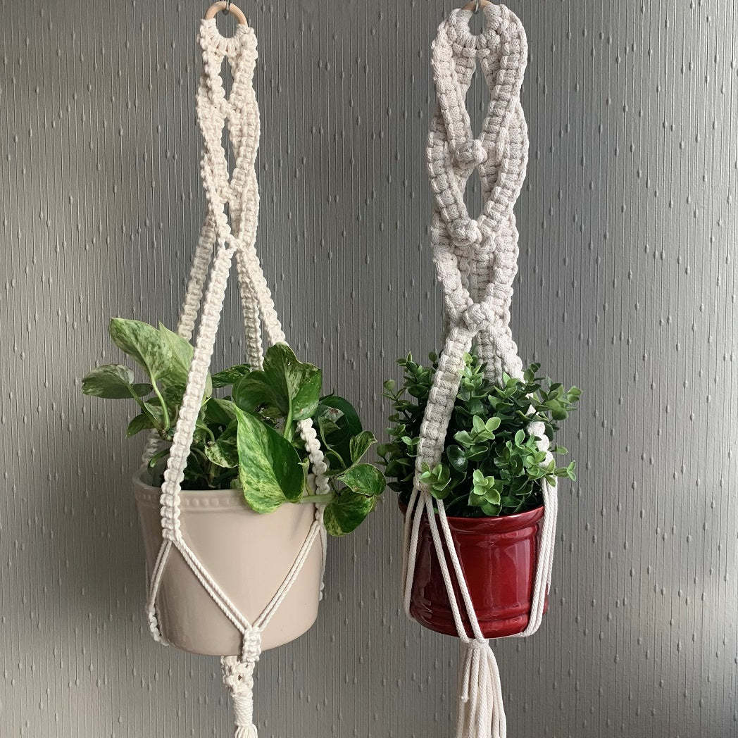 Two white braided macrame plant hangers with a pothos hanging plant in a white planter and a succulent in a maroon planter hanging from the ceiling.