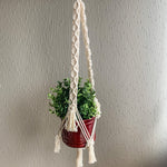 Load image into Gallery viewer, A white macrame plant hanger with fringe detailing with a maroon planter and plant in it
