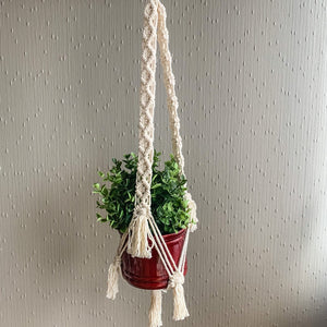 A white macrame plant hanger with fringe detailing with a maroon planter and plant in it
