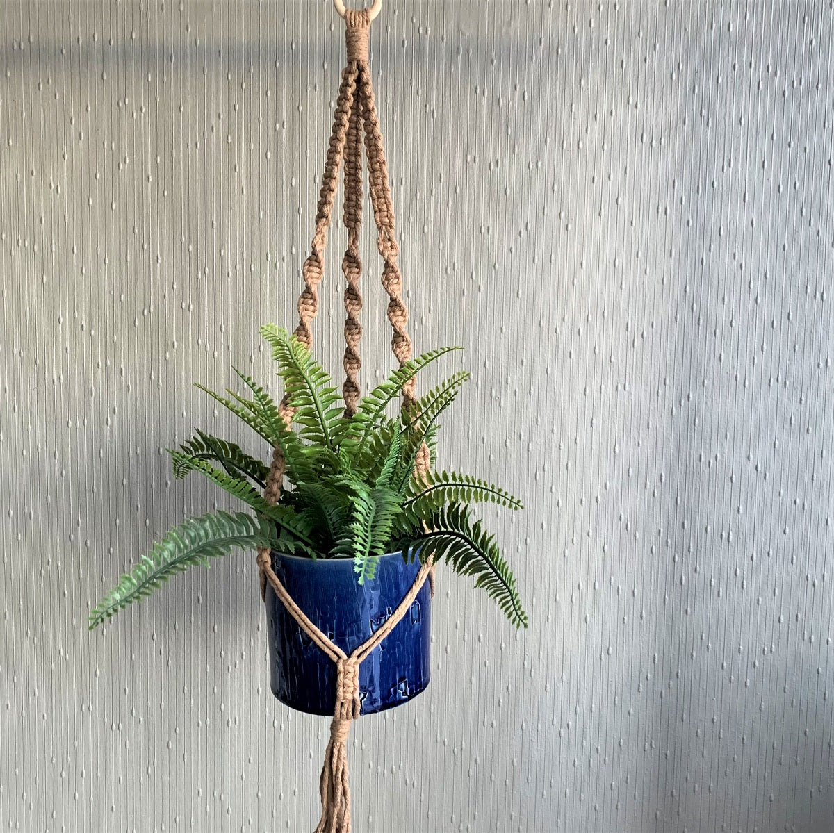 A minimalist brown macrame plant hanger with a fern plant in a blue planter