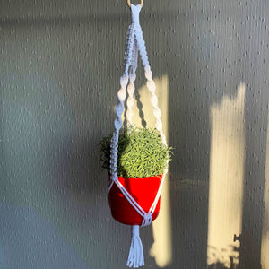 A minimalist white macrame plant hanger with a plant in a red planter