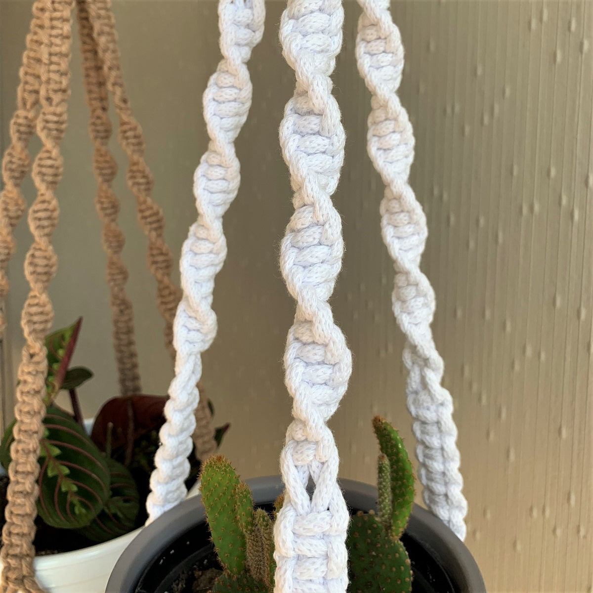 A close up photo of the macrame knots on two macrame plant hangers