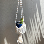 Load image into Gallery viewer, A white macrame basket plant hanger with a green cactus in a blue planter hanging in front of a window
