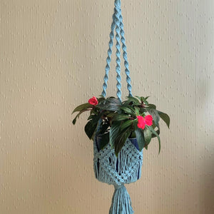 A blue macrame basket plant hanger with a flowering plant in a blue planter hanging from the ceiling